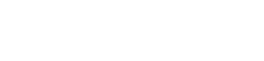 Saali_Builds logo